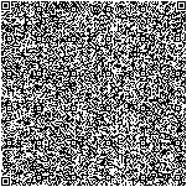 Sample QR Code